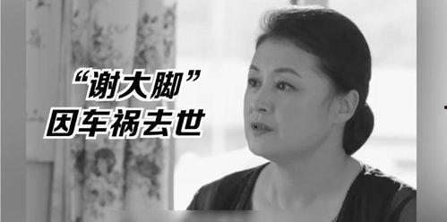 娱乐圈的吃瓜少男,揭秘幕后真相与趣味八卦
